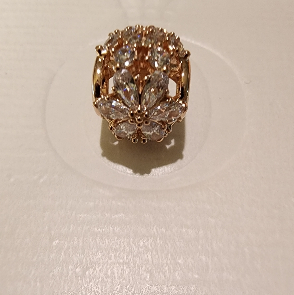 Pandora Sparkling Herbarium Cluster Round Charm - Picture 7 of 15